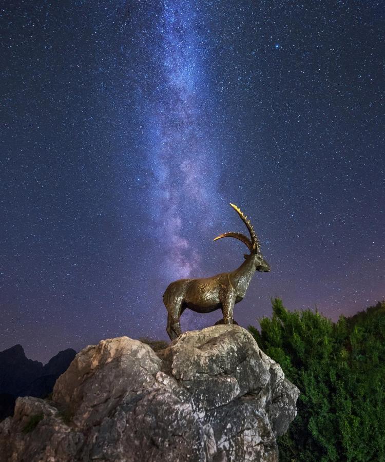 Jasna Chalet Resort Kranjska Gora Exteriér fotografie